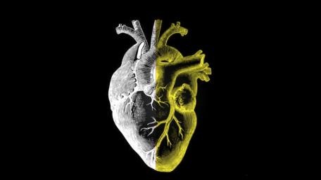 Heart of Darkness and Light wallpaper