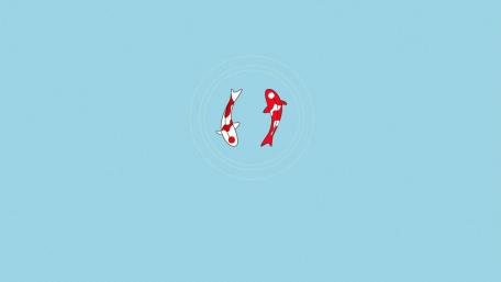 Koi Fish in Tranquil Waters wallpaper