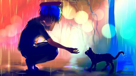 Rainy Night Bond Between Anime Boy and Black Cat wallpaper