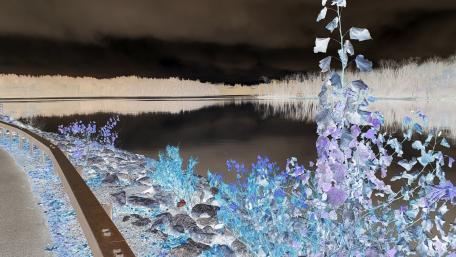 River negative wallpaper