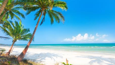 Tropical Paradise Under Blue Skies wallpaper