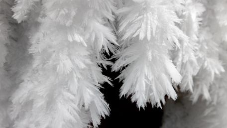 Elegant Monochrome Feather Texture Wallpaper wallpaper