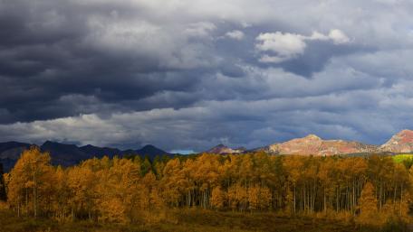 Autumn's Embrace Amidst Dark Clouds wallpaper
