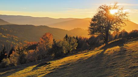 Golden Sunset Over Serene Hillside Landscape wallpaper