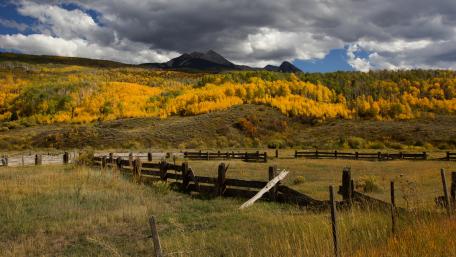 Autumn Serenity in a Rural Landscape wallpaper