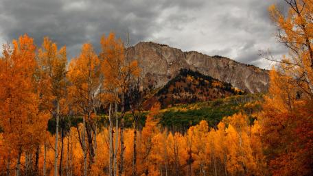 Golden Autumn Majesty in Mountains wallpaper