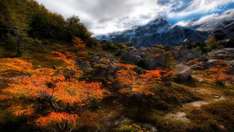 Vibrant Autumn Trail Amidst Majestic Mountains wallpaper