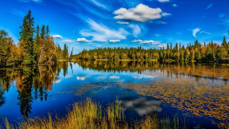 Serene Autumn Landscape with Reflection in Lake wallpaper