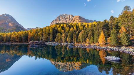 Serene Autumn Reflections in Nature's Embrace wallpaper