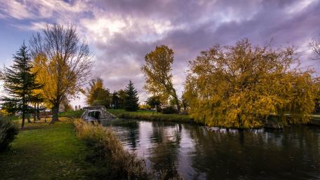 Autumn Serenity by the Canal wallpaper