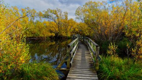 Autumn Serenity Over Waterway wallpaper