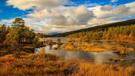 Autumn Serenity on a Norwegian River wallpaper