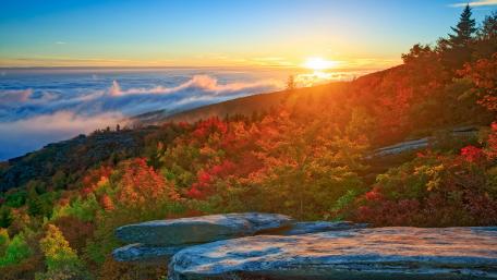 Autumn Sunrise Over Vibrant Foliage wallpaper