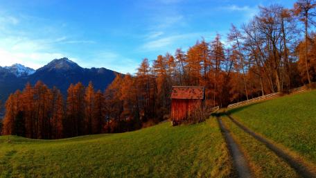 Autumn Serenity in Nature's Embrace wallpaper