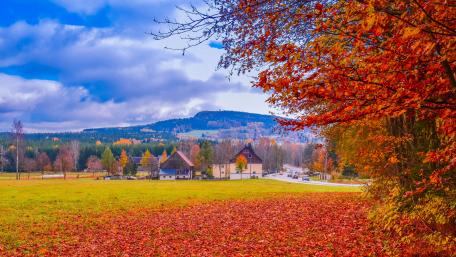 Autumn Village in Fall Splendor wallpaper