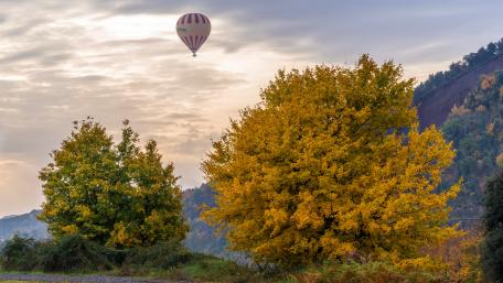 Autumn Adventure in the Sky with Hot Air Balloons wallpaper