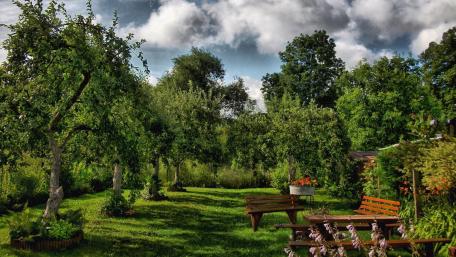 Tranquil Garden Escape Awaits You wallpaper