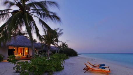 Tropical Paradise Awaits You wallpaper