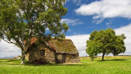 Tranquil Cottage in a Serene Meadow wallpaper