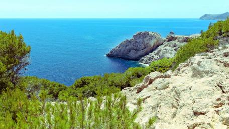 Serene Coastal Escape for Nature Lovers wallpaper