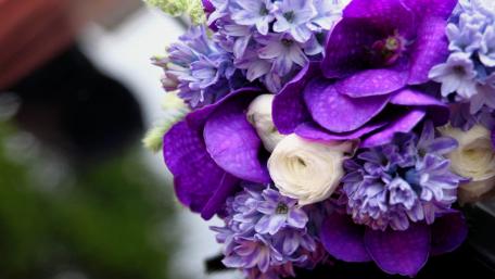 Vibrant Purple Floral Elegance wallpaper