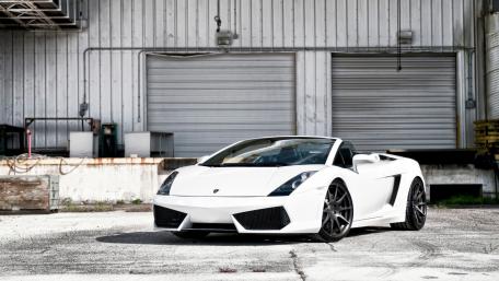 Sleek White Lamborghini Gallardo wallpaper