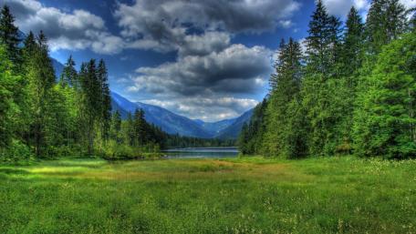 Serene Lake Surrounded by Lush Greenery in a Valley wallpaper