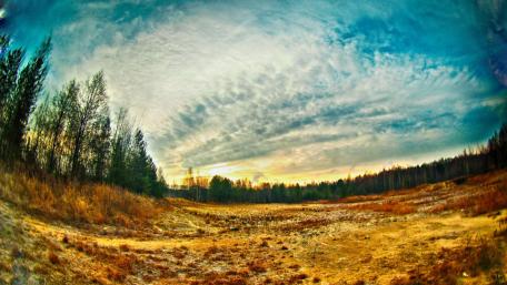 Serene Horizon in a Tranquil Field Scene wallpaper