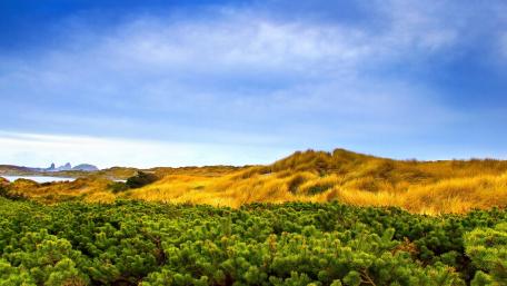 Tranquil Coastal Landscape with Lush Greenery and Bright Skies wallpaper