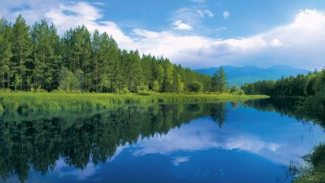 Serene Forest Reflection by a Tranquil River wallpaper