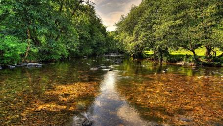 Serene River Flowing Through Lush Greenery wallpaper
