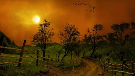 Serene Sunset Over a Rustic Pathway wallpaper