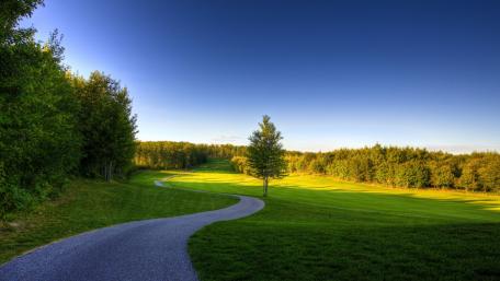 Scenic Meadow Road Under a Clear Sky wallpaper