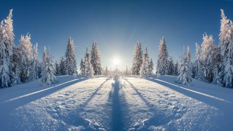 Sunny winter wallpaper