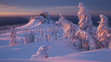 Winter Wonderland in Tranquil Silence wallpaper