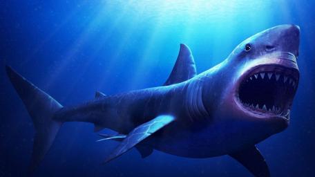 Megalodon Majesty Underwater wallpaper