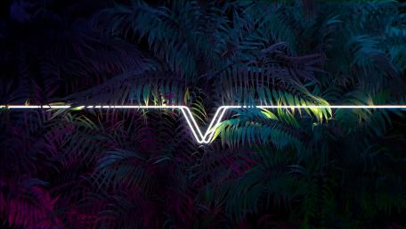 Neon Ferns in Dark Ambience wallpaper