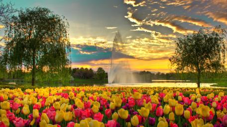 Chicago Botanic Garden wallpaper