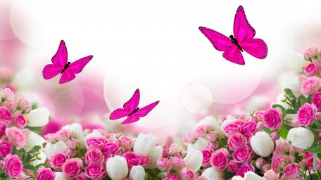 Pink Butterflies and Roses Bliss wallpaper