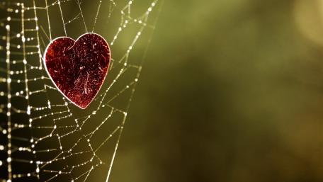 Entangled Heart in Nature's Web wallpaper