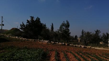 Tranquil Agricultural Landscape with Clear Skies wallpaper