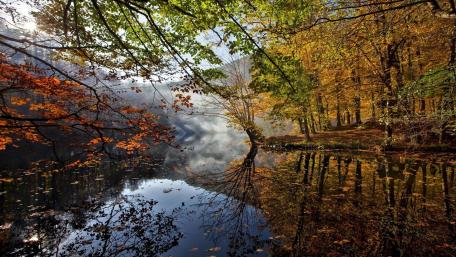 Autumn Serenity in Reflection wallpaper