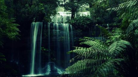 Lush Waterfall in a Tropical Paradise wallpaper