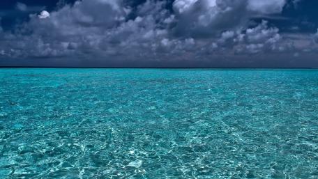 Tranquil Blue Horizons for Your Space wallpaper