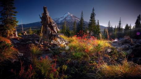 Majestic Mountain Serenity wallpaper
