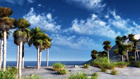 Tranquil Shoreline with Palm Trees and Vibrant Skies wallpaper
