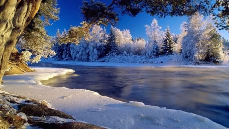 Frozen Serenity in Winter's Embrace wallpaper