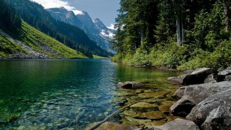Serenity in Nature's Embrace wallpaper