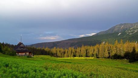 Serene Glade Retreat Amidst Majestic Mountains wallpaper