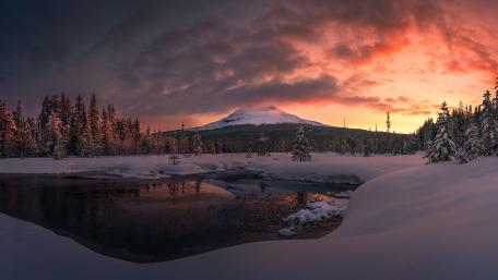 Winter's Embrace at Sunset wallpaper
